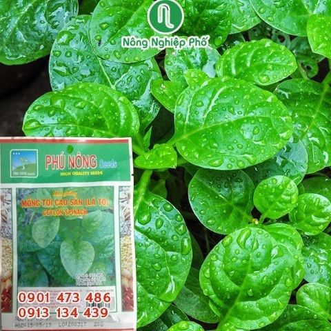 Combo ‘’Khu Vườn Của Bé