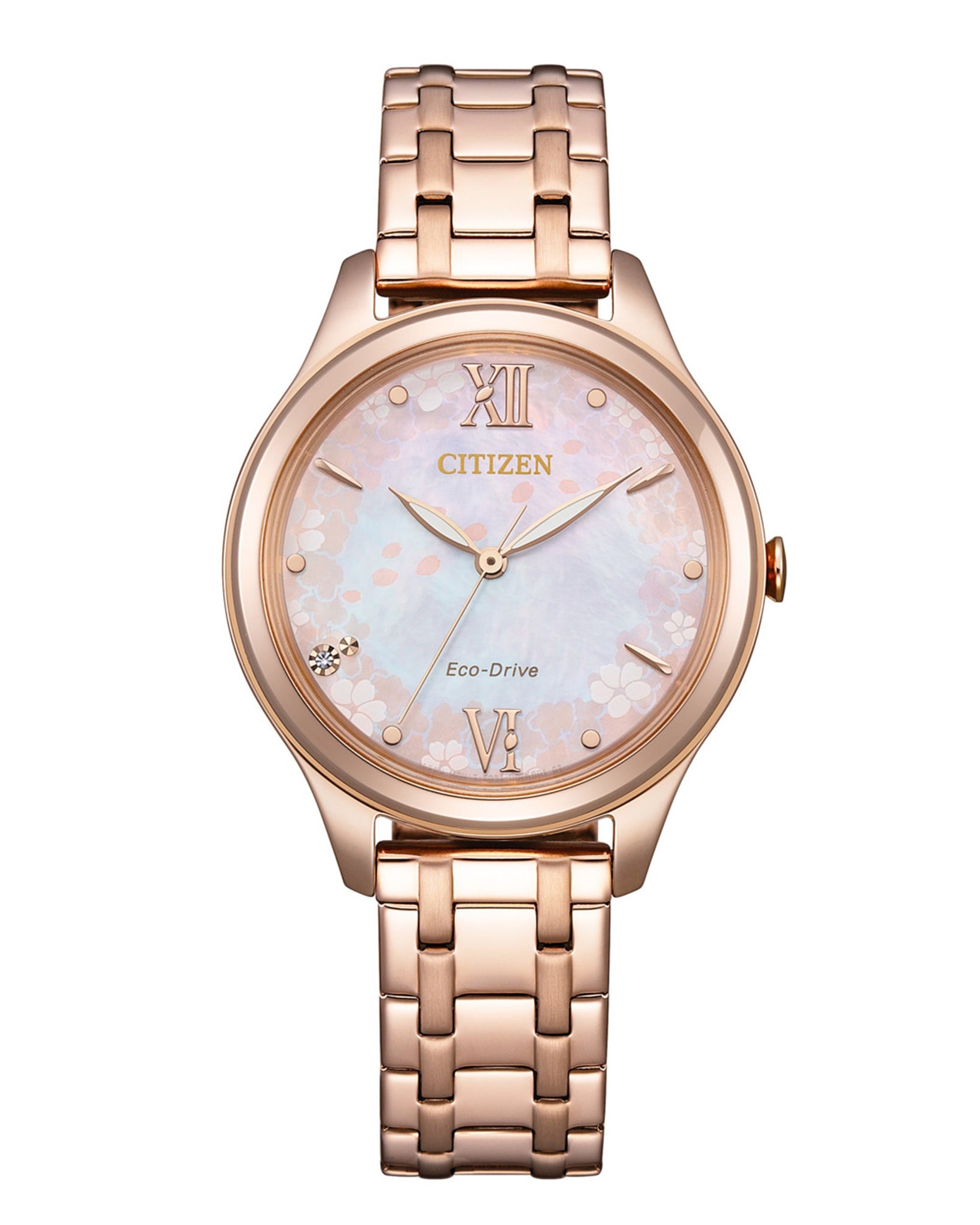 phan-biet-dong-ho-citizen-1