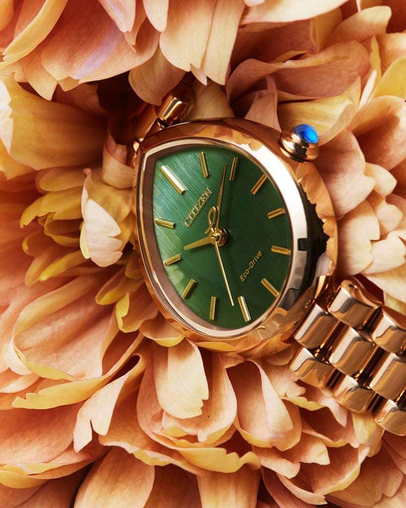 Đồng hồ Citizen EM1203-57X