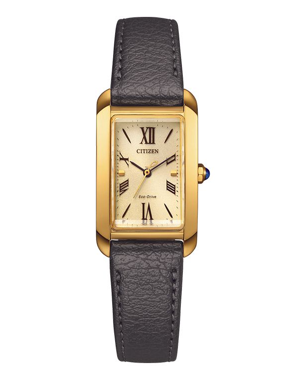 Đồng hồ Citizen EW5622-09P