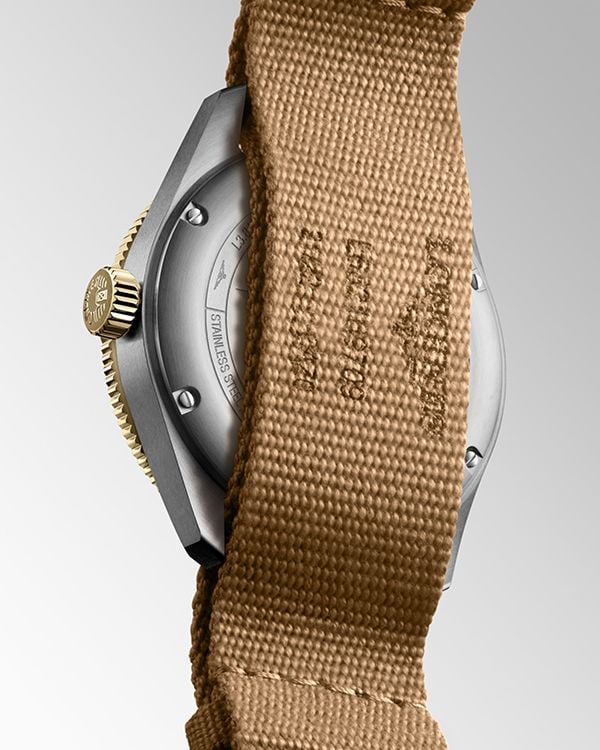 Đồng hồ Longines L3.812.5.53.9