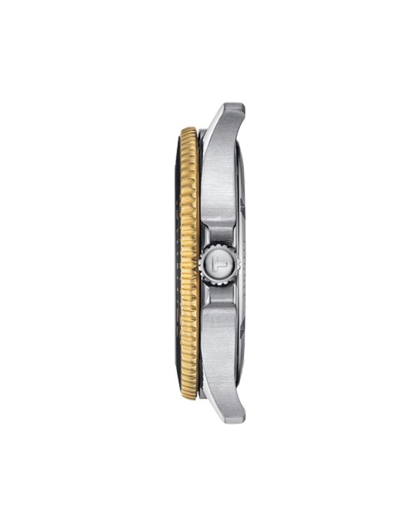 Đồng hồ Tissot T120.410.22.051.00