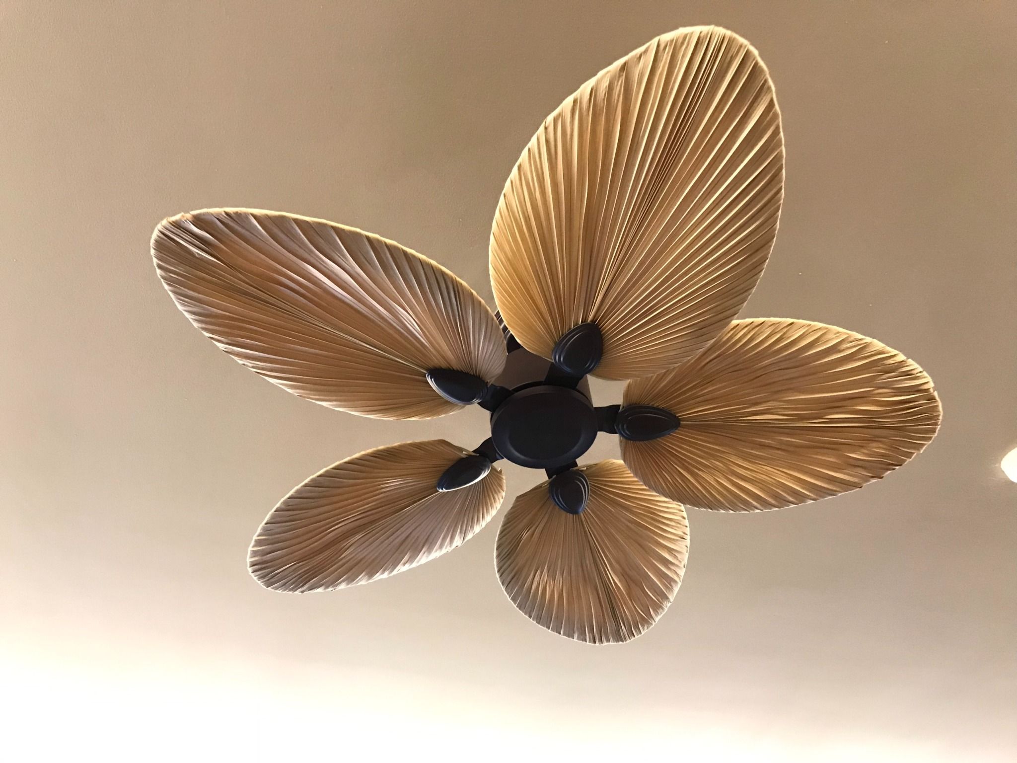 Quạt Trần Trang Trí Lá Cọ (Lá Thật) QT5225 - 1130mm