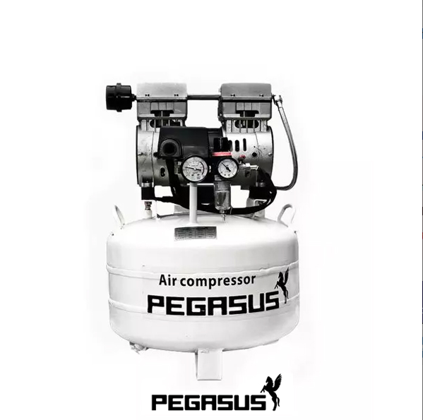 Máy nén khí không dầu Pegasus TM-OF550-40L