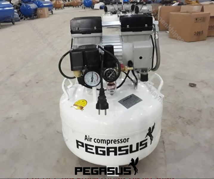 Máy nén khí không dầu Pegasus TM-OF550-40L