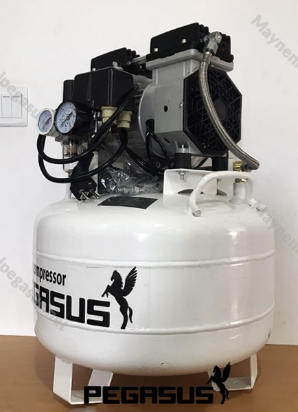Máy nén khí không dầu Pegasus TM-OF550-40L