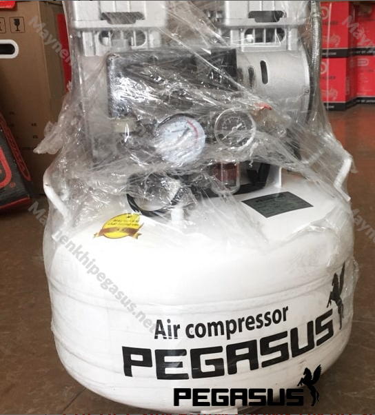 Máy nén khí không dầu Pegasus TM-OF550-40L