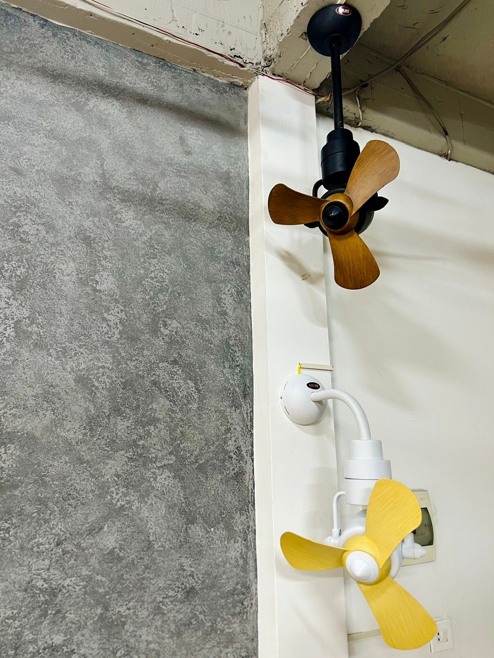Quạt treo tường, treo trần Mr Vũ BON - 40w