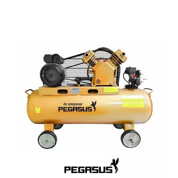 Máy nén khí 10hp Pegasus TM-V-1.05/12.5-330-500L