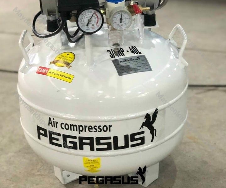 Máy nén khí không dầu pegasus TM-OF750-40L
