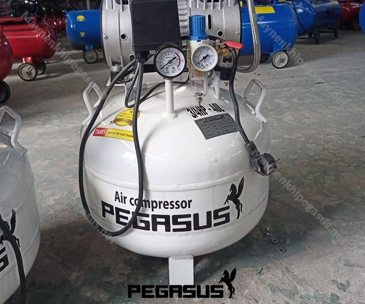 Máy nén khí không dầu pegasus TM-OF750-40L