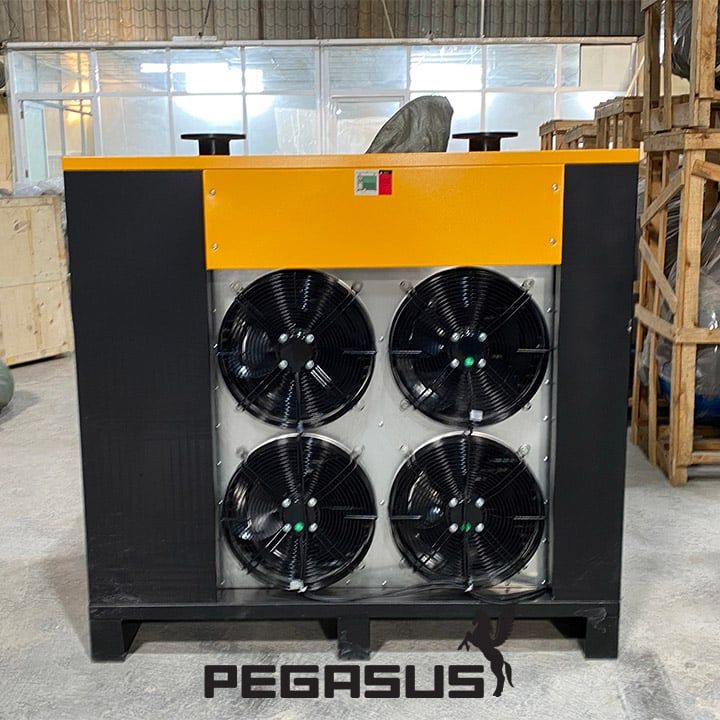 Máy sấy khí nén Pegasus TMMSK-250