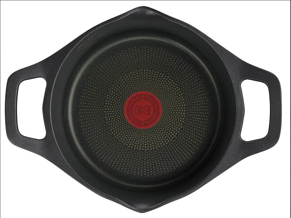 Nồi đúc cao cấp Tefal Robusto 20cm E2494444 / 24cm E2494644