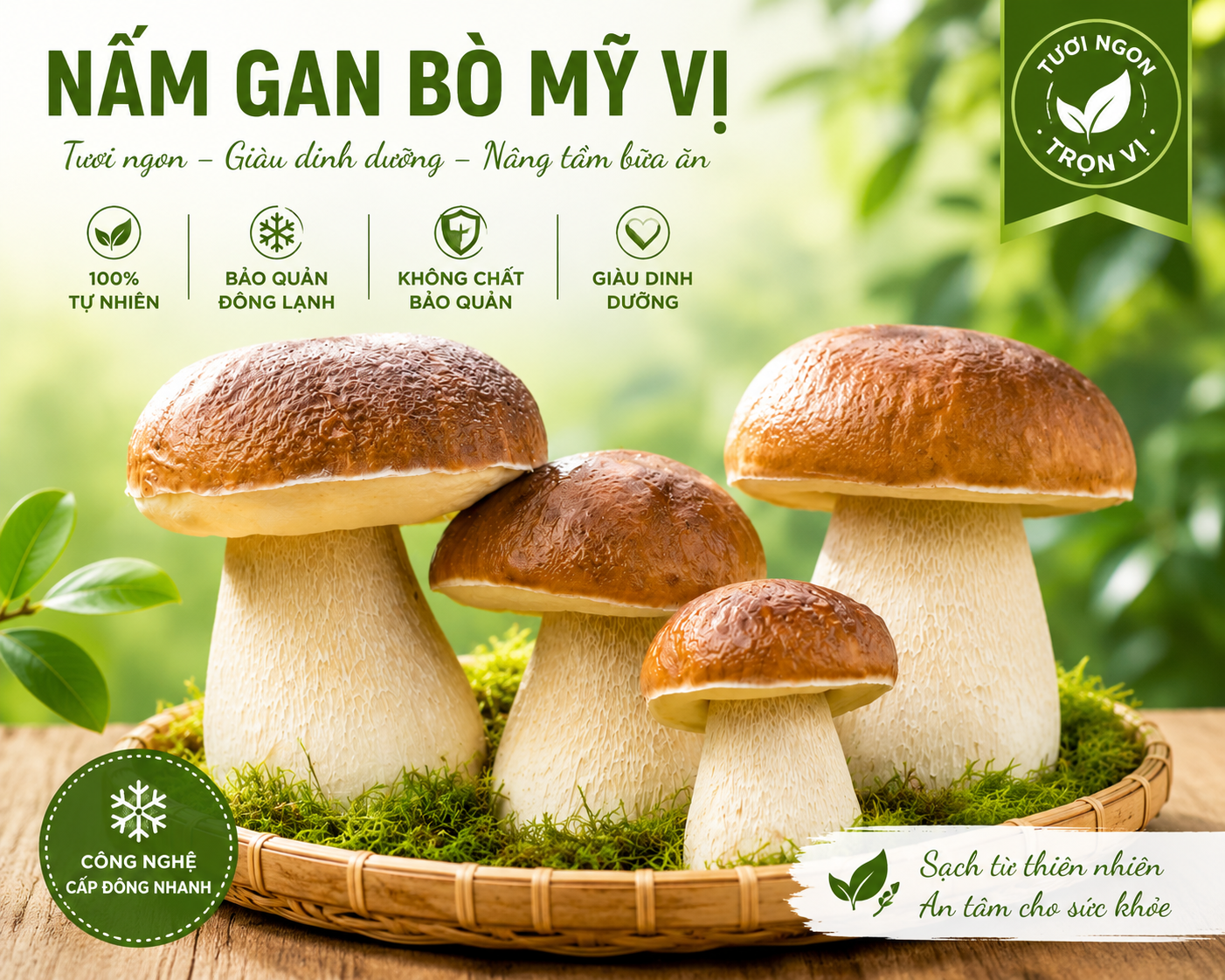 NẤM GAN BÒ MỸ VỊ (Boletus Edulis) - Đông Lạnh - LH:0915179900