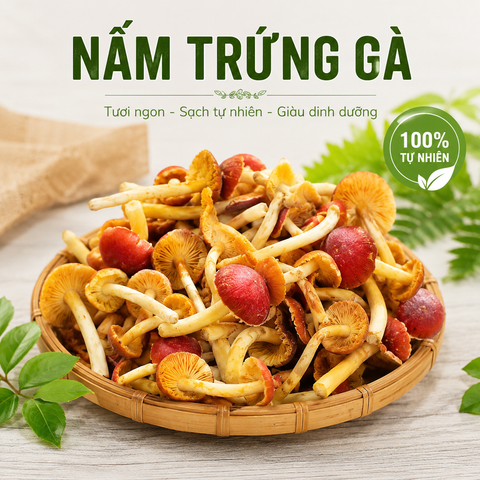  Nấm César đại đế (Nấm trứng gà) - Đông lạnh - LH:0915179900 
