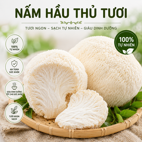 Nấm Hầu Thủ (Nấm đầu khỉ) - Đông lạnh - LH:0915179900 