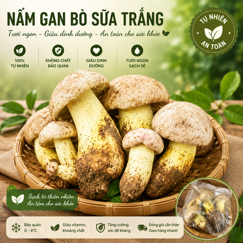  Nấm Gan bò sữa trắng  - Đông lạnh - LH:0915179900 