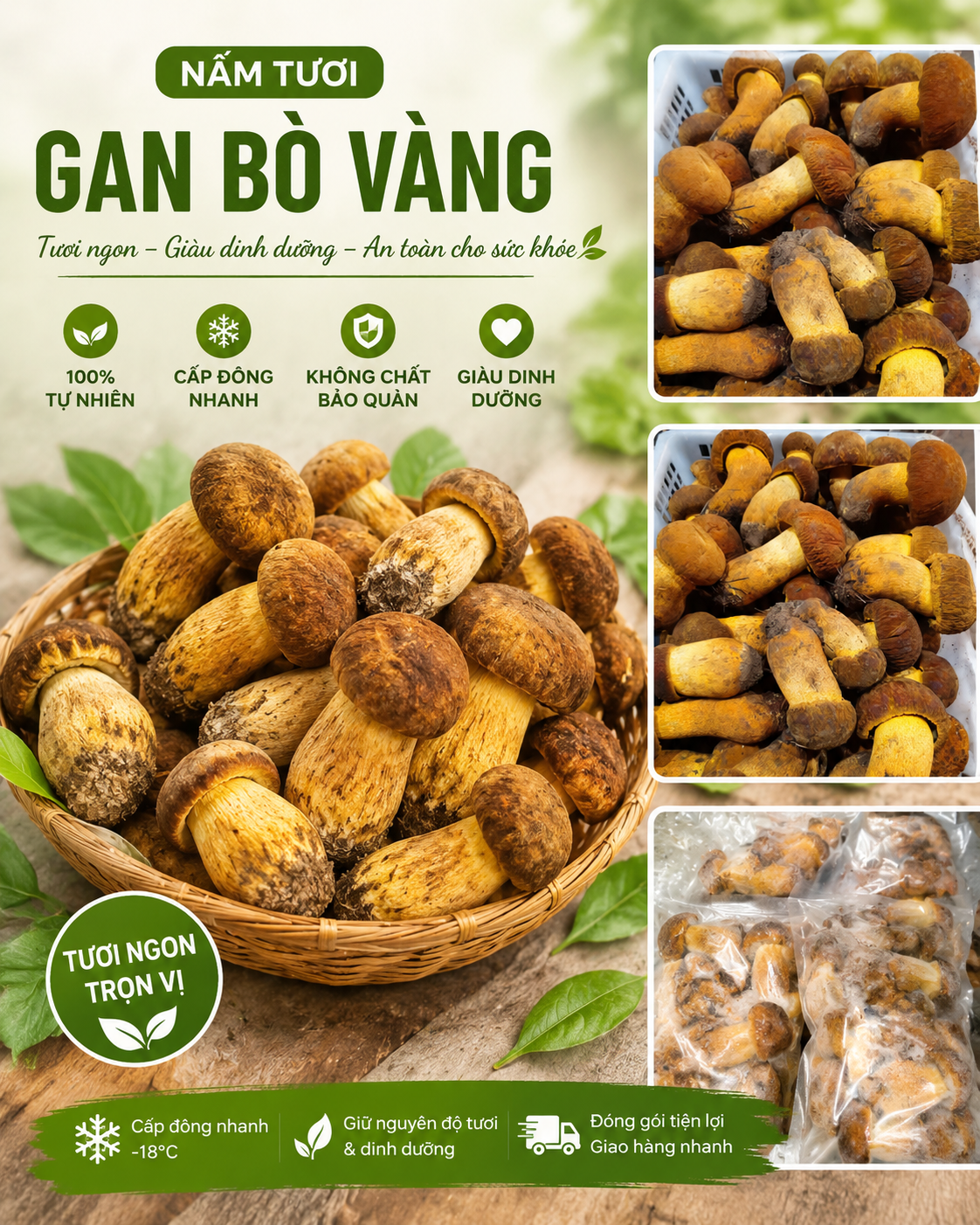 Nấm Gan bò vàng