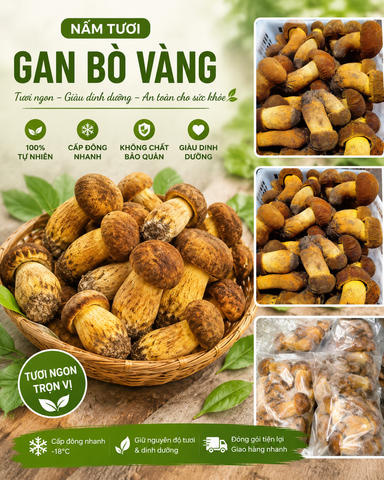  Nấm gan bò vàng ( Boletus Mushroom) - Đông lạnh - LH:0915179900 