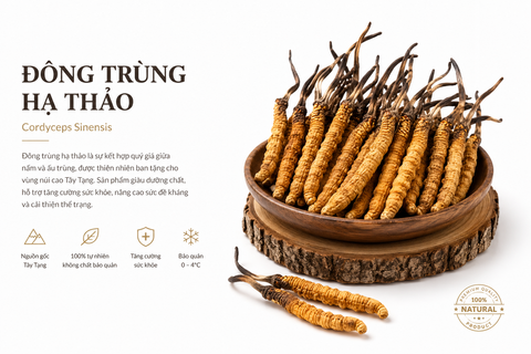  Đông trùng hạ thảo (Tươi) 