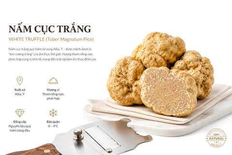  Nấm Truffle trắng (Nấm cục trắng) tươi - LH:0915179900 