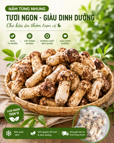  Nấm tùng nhung - Matsutake ( Hàng loại A2 - Đông lạnh ) - LH:0915179900 