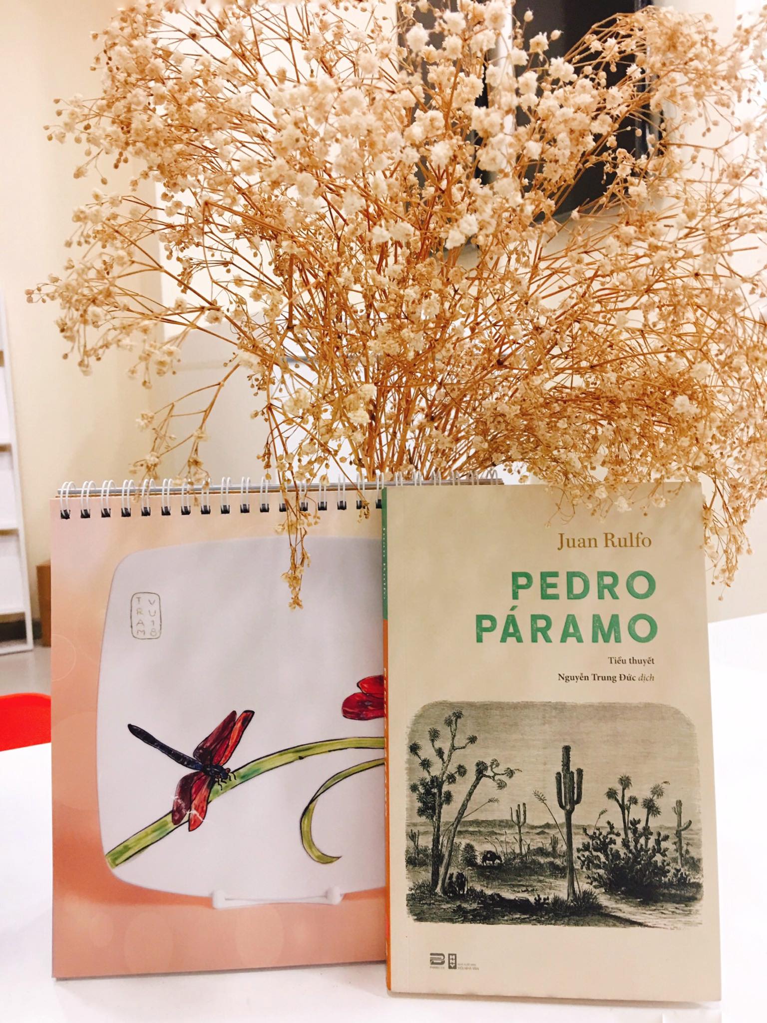 PEDRO PÁRAMO (TÁI BẢN)