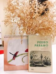PEDRO PÁRAMO (TÁI BẢN)