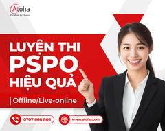 PROFESSIONAL SCRUM PRODUCT OWNER (PSPO)