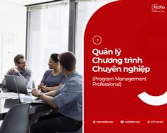 Quản lý chương trình chuyên nghiệp - Program Management Professional (PgMP)