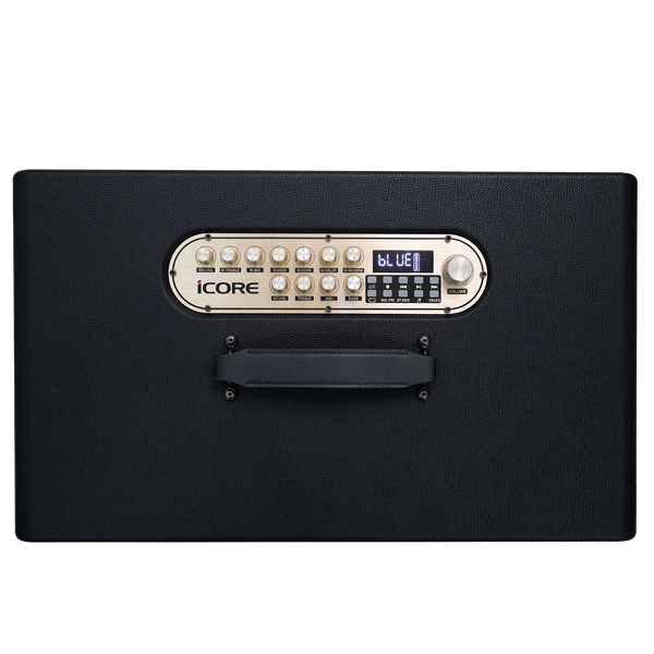 Loa Karaoke Xách Tay iCore S9. Âm Trầm Uy Lực, Kèm 2 Micro không dây UHF - Chính Hãng