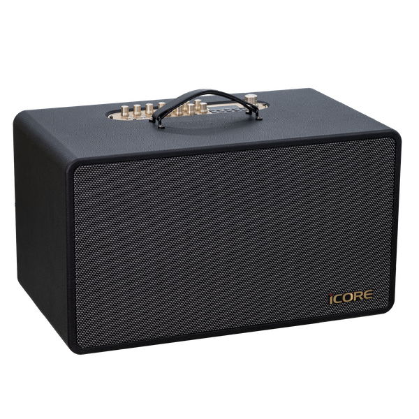 Loa Karaoke Xách Tay iCore S9. Âm Trầm Uy Lực, Kèm 2 Micro không dây UHF - Chính Hãng