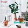 Bộ Tách Thủy Tinh Lucky Curver Cup Glass 315ml | LG-3112611(126).755 , Thủy Tinh nhập Khẩu Thái Lan
