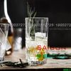 Ly Thủy Tinh WHG Whisky Hi Ball Glass 400ml | WHG6008 , Thủy Tinh Cao Cấp