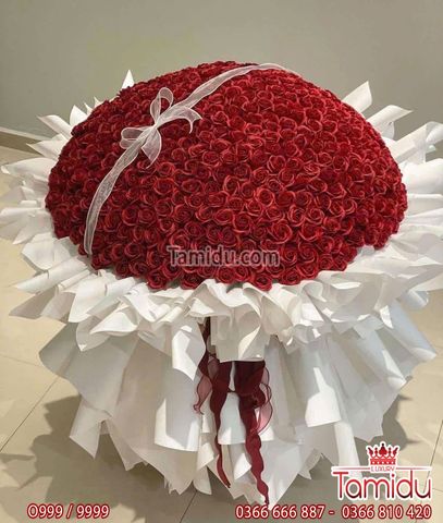 999 đóa hồng