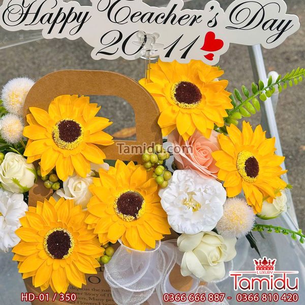 Hướng Dương đón nắng