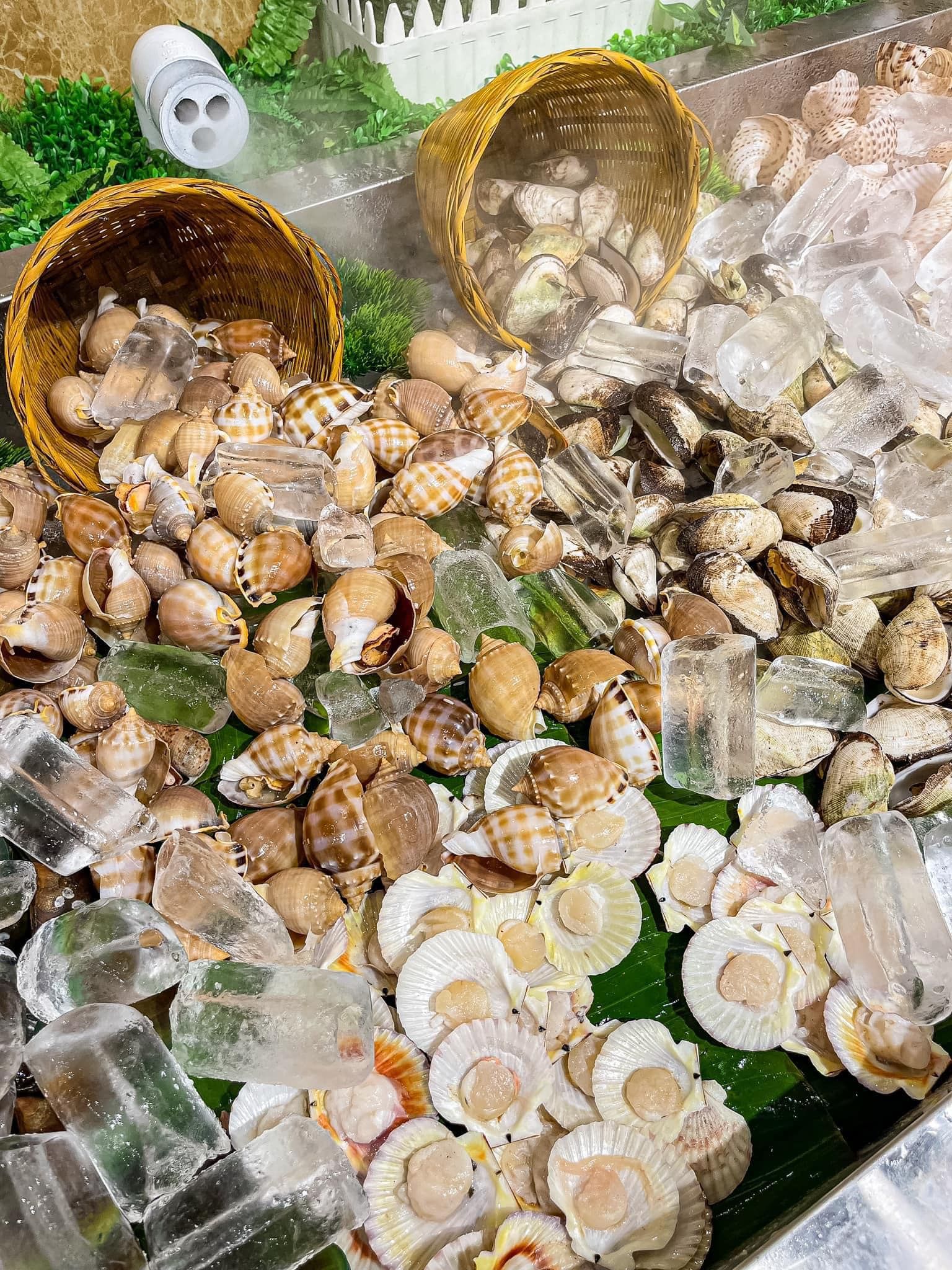 Buffet Hải Sản Mr Mộc - 222 Nguyễn Thị Định
