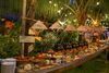 Đào Tiên - 21/5 Phan Bội Châu