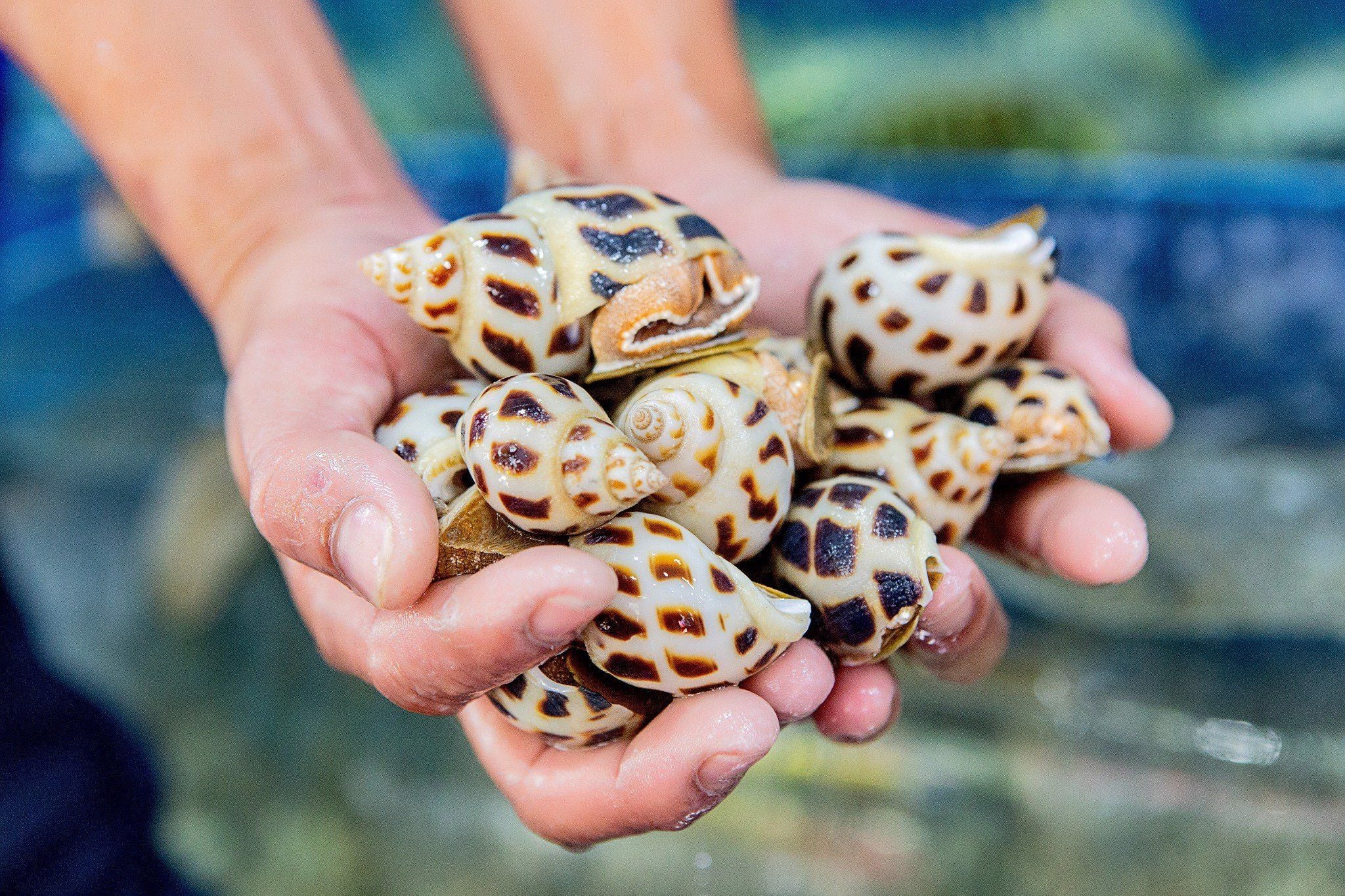 Hải Sản Xóm Vắng - BT1 - 22 Nguyễn Xuân Khoát