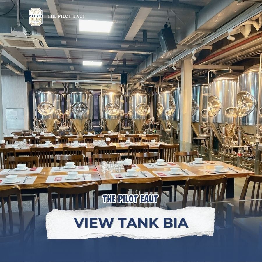 The Pilot EAUT - Đường CN1 Trịnh Văn Bô