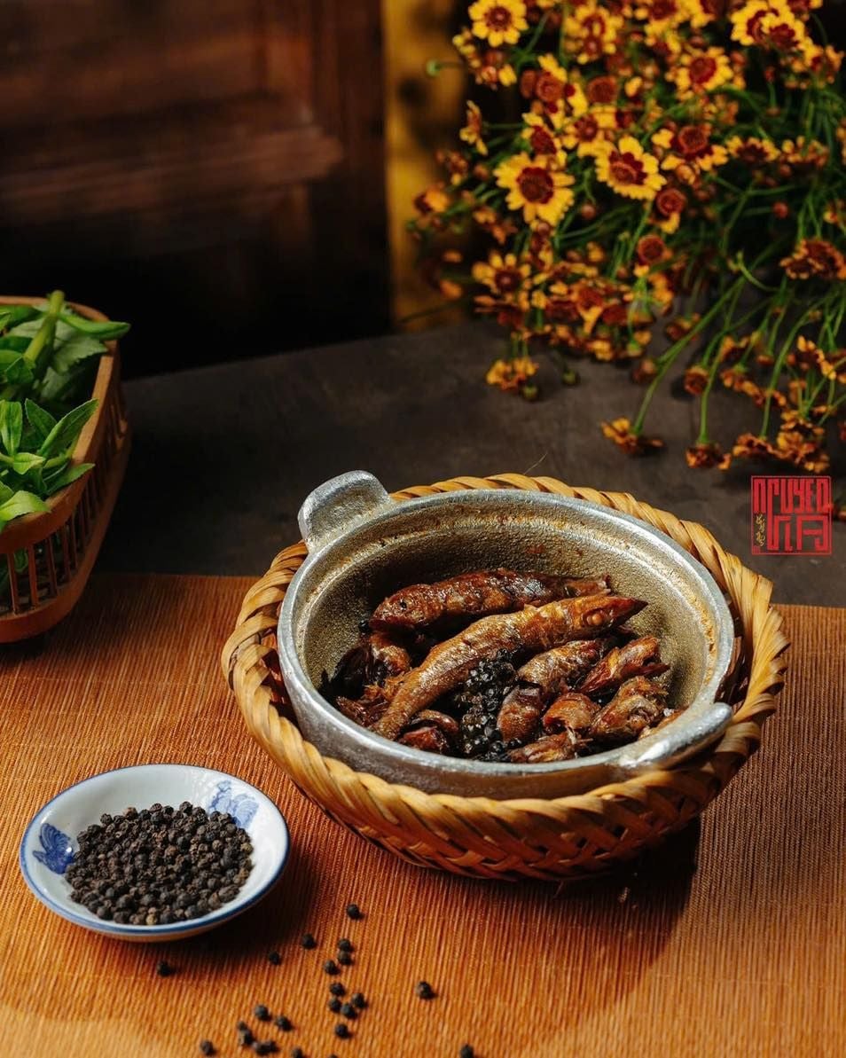 Nguyễn Gia - 64B Quán Sứ