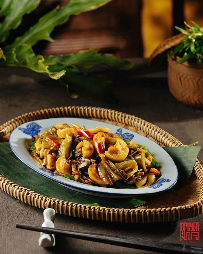 Nguyễn Gia - 64B Quán Sứ