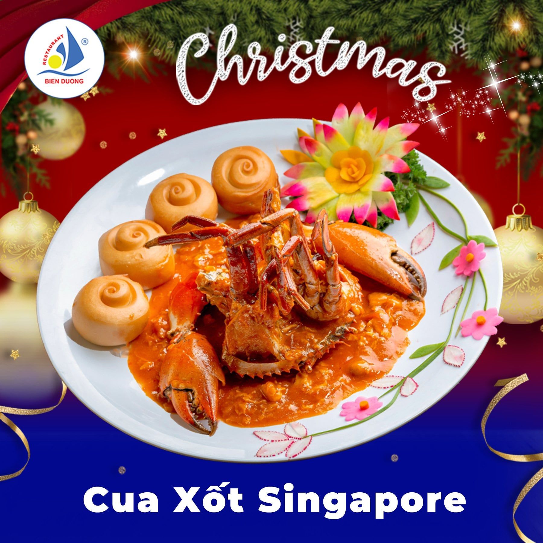 Biển Dương 6 - 205 Cách Mạng Tháng Tám