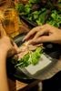 Let‘s Nướng - KĐT Ngoại Giao Đoàn