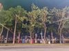 Hải Sản Hoài Hương - 365 - 367 Trần Hưng Đạo