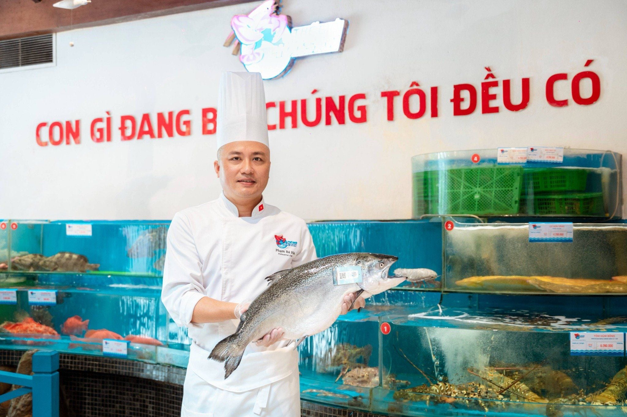 Thế Giới Hải Sản - 60 Vũ Trọng Khánh