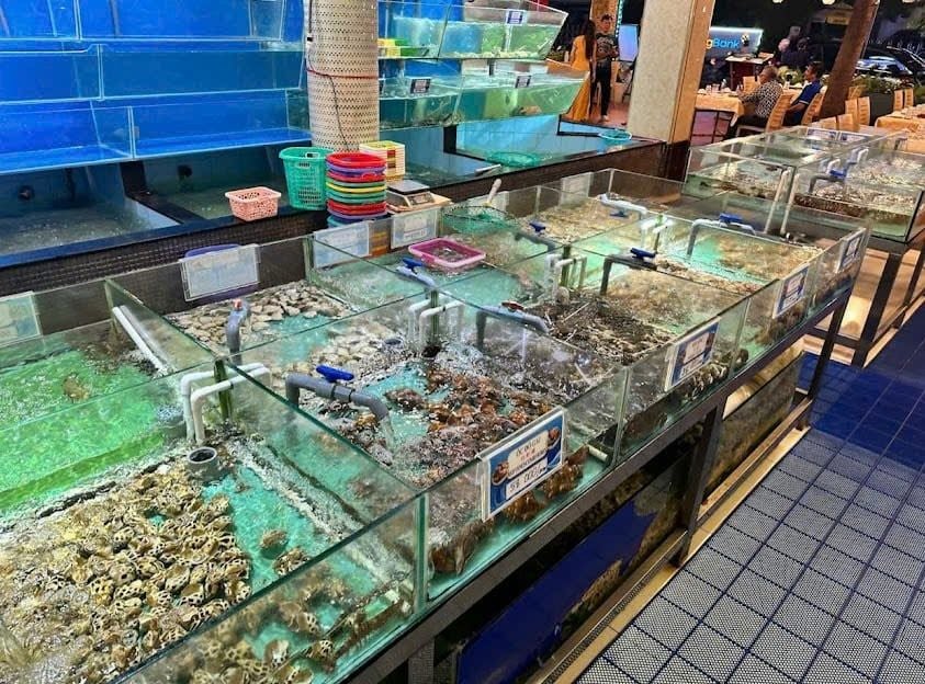 Biển Dương 6 - 205 Cách Mạng Tháng Tám