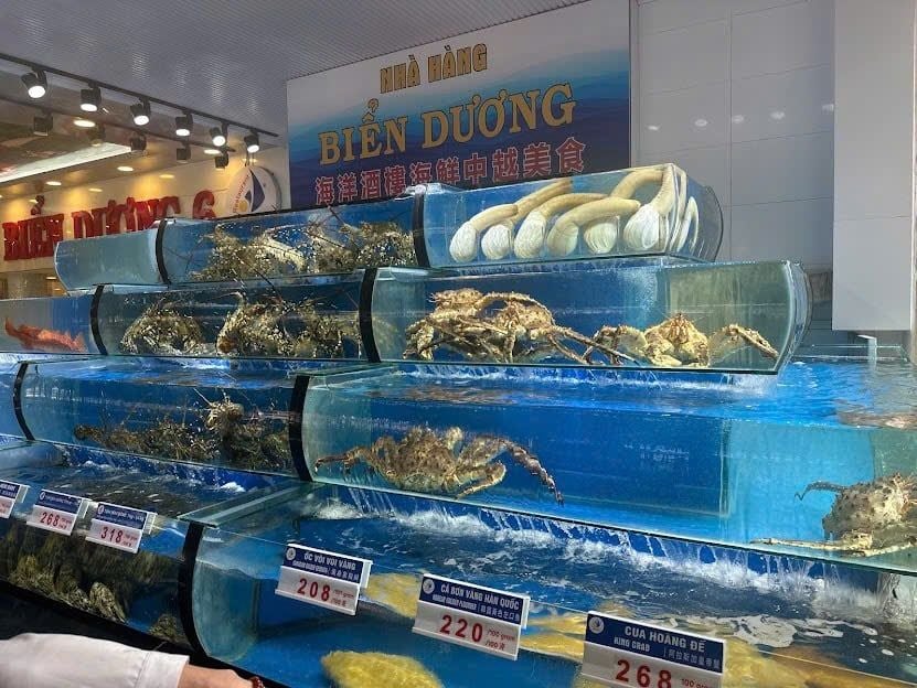 Biển Dương 6 - 205 Cách Mạng Tháng Tám