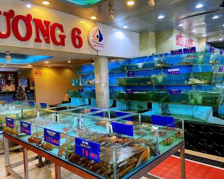 Biển Dương 6 - 205 Cách Mạng Tháng Tám