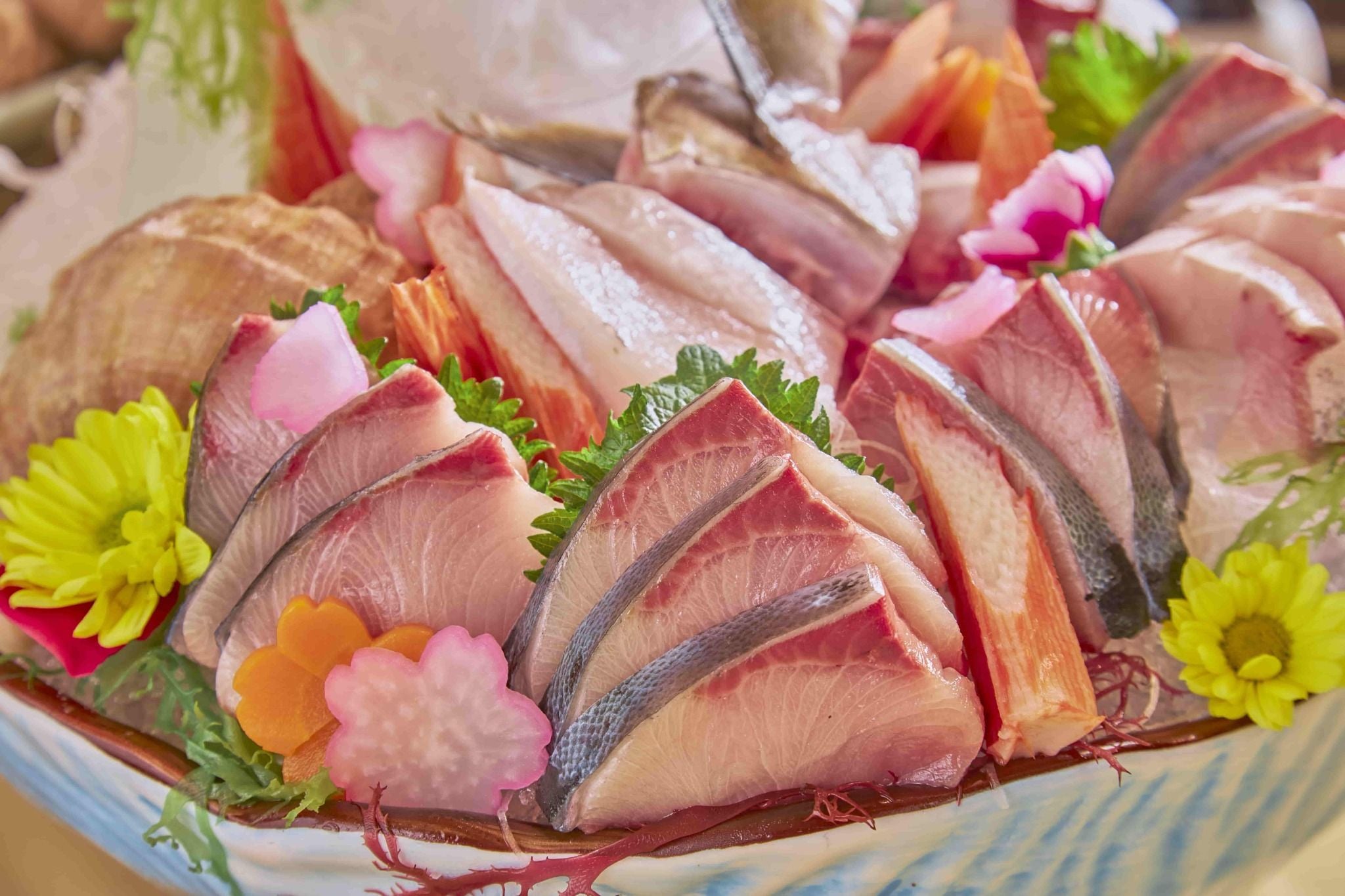 Hatoyama - 8 Vạn Phúc